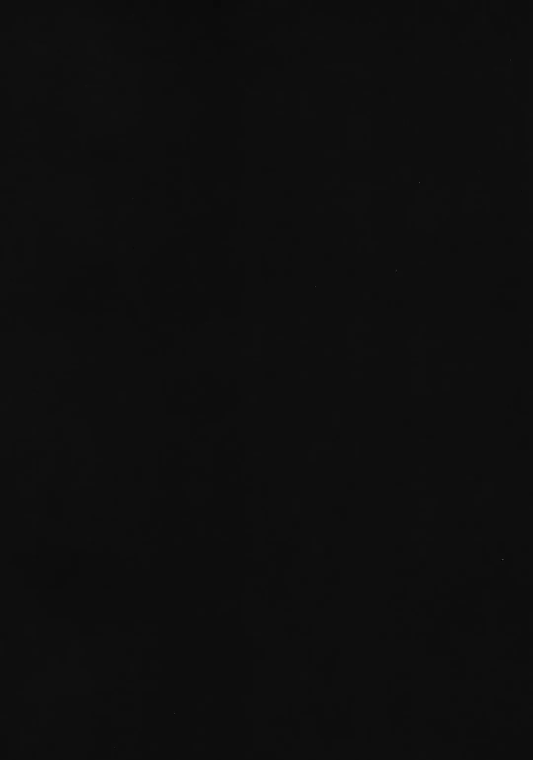 [Zhen Lu] Fuchou no Sakusei Ryouhou Fhentai - Page 4