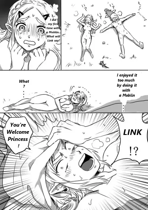 [Wasabi] Link to Zelda no Shoshinsha ni Yasashii Sex Nyuumon | Here is a little lesson about Link and Zelda's relation Fhentai - Page 14