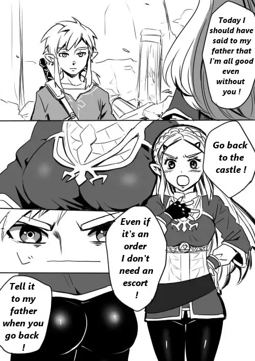 [Wasabi] Link to Zelda no Shoshinsha ni Yasashii Sex Nyuumon | Here is a little lesson about Link and Zelda's relation Fhentai - Page 2