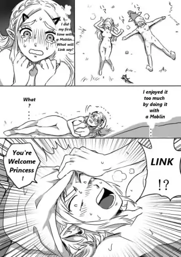 [Wasabi] Link to Zelda no Shoshinsha ni Yasashii Sex Nyuumon | Here is a little lesson about Link and Zelda's relation Fhentai - Page 14