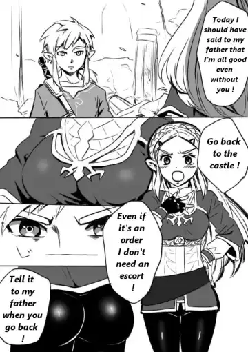 [Wasabi] Link to Zelda no Shoshinsha ni Yasashii Sex Nyuumon | Here is a little lesson about Link and Zelda's relation Fhentai - Page 2