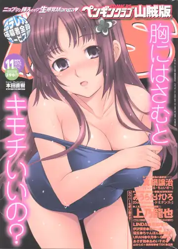 COMIC Penguin Club Sanzokuban 2007-11 Fhentai - Page 250