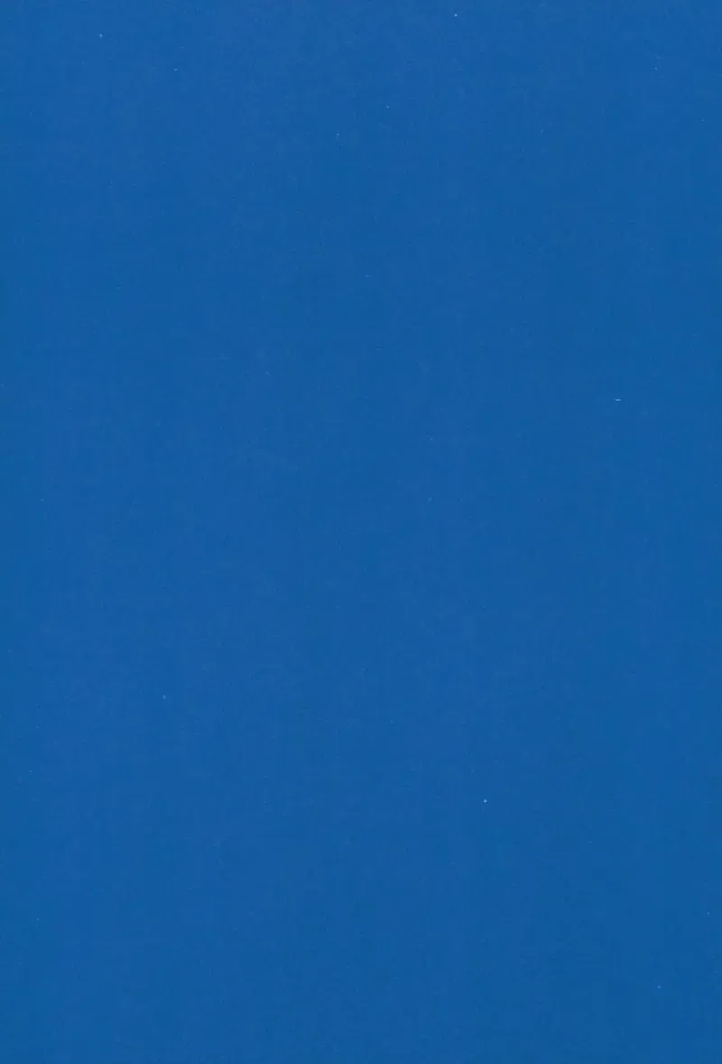 [Sisei] Astolfo to Hitasura Sex shitetara Itsunomanika Sekai Horondeta kedo Betsu ni Ii Kimi sae Soba ni Ite kuretara Fhentai - Page 11