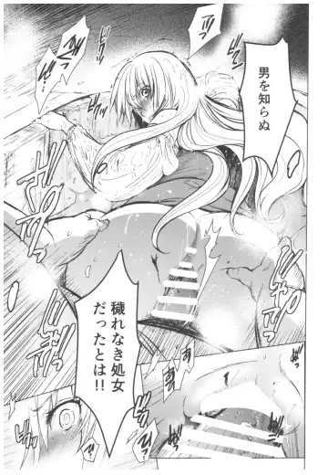 [Heizo - Kitoen] Saint Foire Festival 11 Aline Fhentai - Page 13