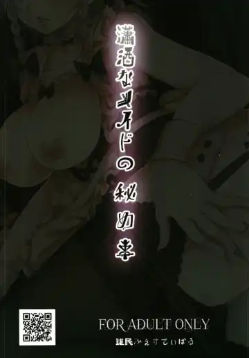 [Gibuchoko] Shousha na Maid no Himegoto Fhentai - Page 24