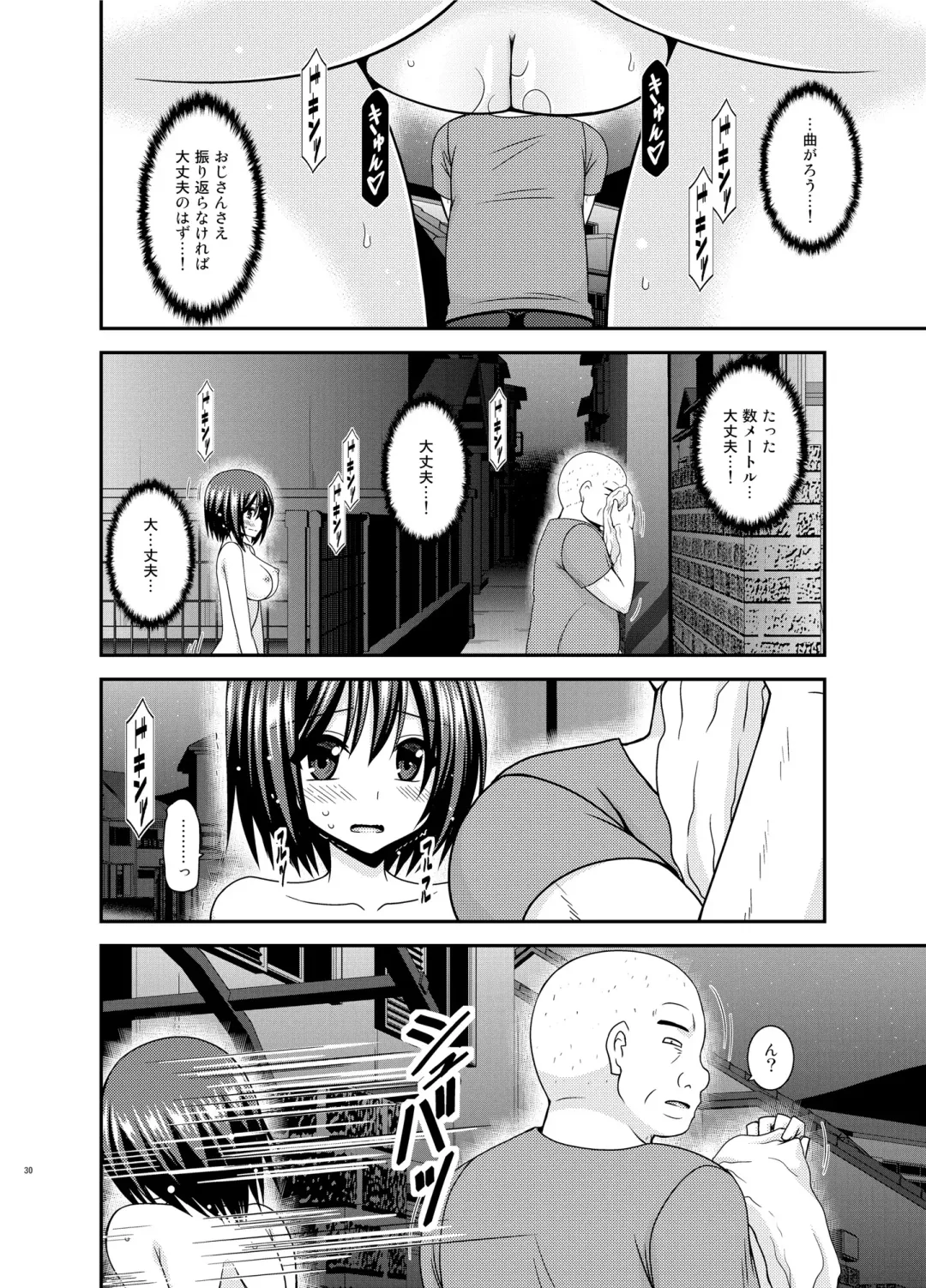 [Charu] Mizushima-san wa roshutsushou Fhentai - Page 29