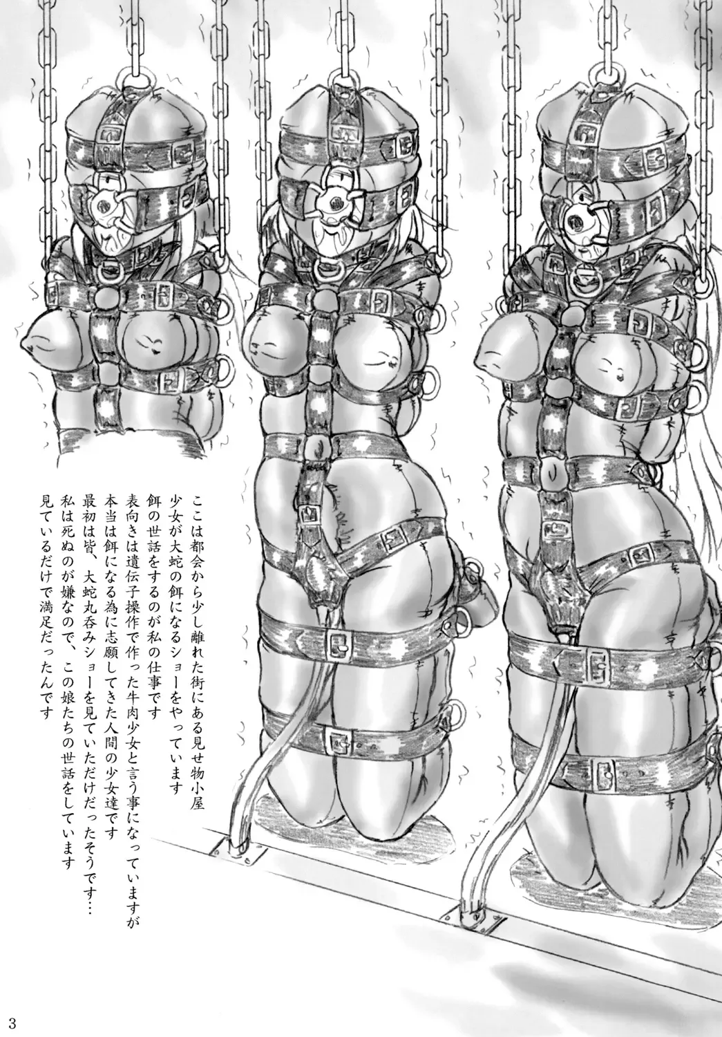 [Sumomo Ex] Misemono Goya no Shoujo Fhentai - Page 2