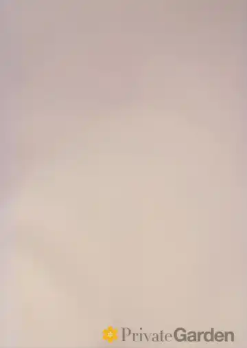 [Tsurusaki Takahiro] Illustrious Shabaora Fhentai - Page 2