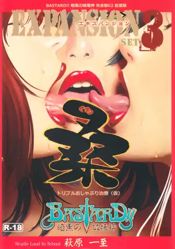 Read [Hagiwara Kazushi] BASTARD!! -ANKOKU NO HAKAIGAMI- KANZENBAN 02 EXPANSION SET - Fhentai