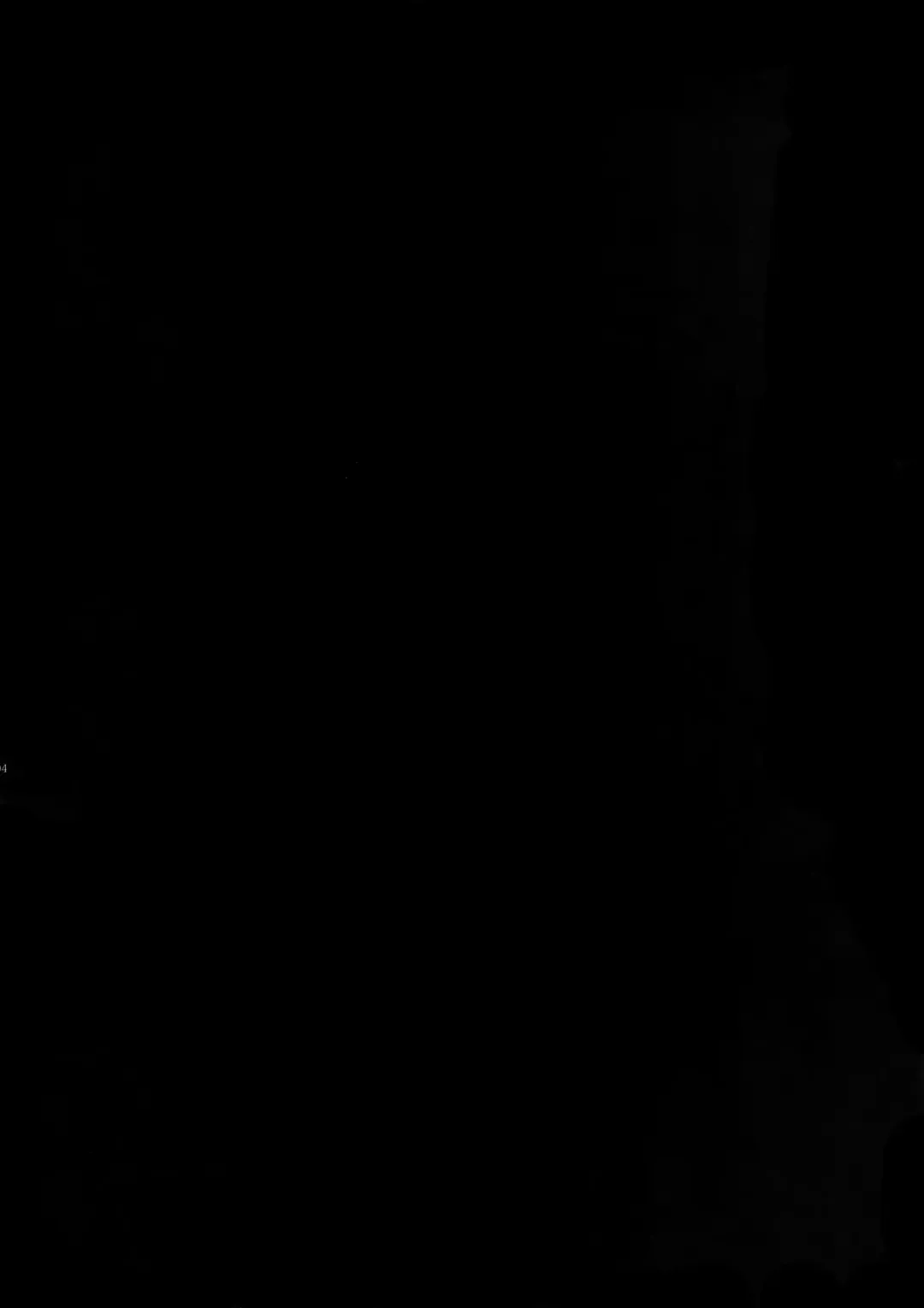 [Ichitaka] Gainen Reisou wa Kiniro no Yume o Miru 3 Fhentai - Page 3