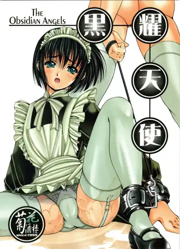 Read [Kikusui] Kokuyou Tenshi - Fhentai