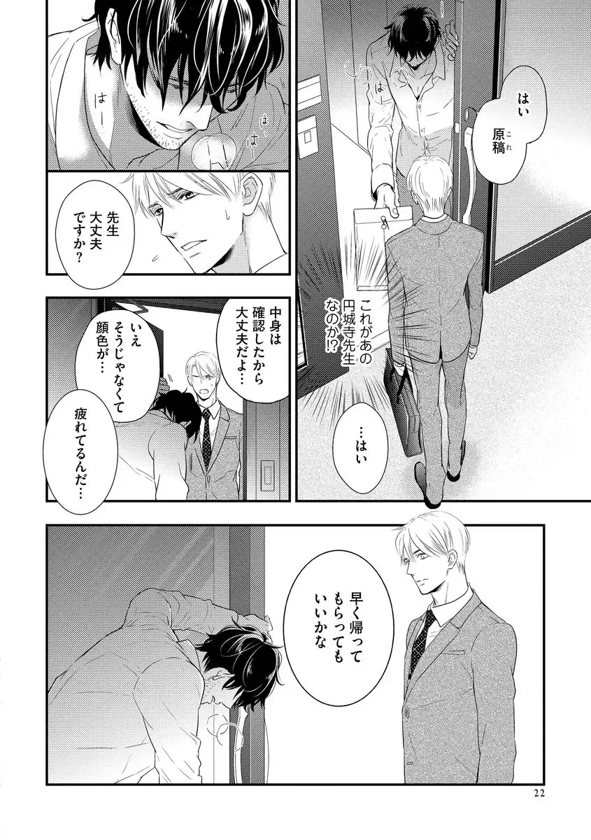 [Fujikawa Ruri] Saikou no Shousetsuka Fhentai - Page 28