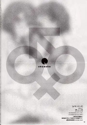 [Hazuki] Osumesu Twins Fhentai - Page 17