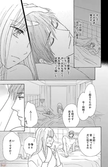 [Akimoto Nami] hatsujou elite ni osowaretemasu Fhentai - Page 33