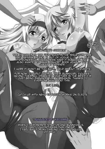 [Hatoya Mameshichi] IS Gakuen Kounin!? Usagi Kari no Yoru | Approved by IS Academy? Bunny Hunting Night Fhentai - Page 19