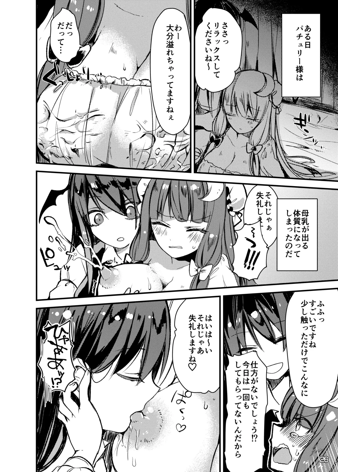 Touhou Sakunyuu Goudoushi Demo Gensoukyou no Musume no Sakunyuu nara Chotto Mitai kamo... Fhentai - Page 25
