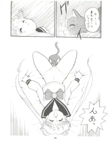 [Daikyojin] Rururun Fhentai - Page 14