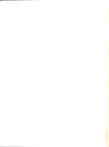 [Umedama Nabu] Umedamangashuu ver,S Fhentai - Page 129