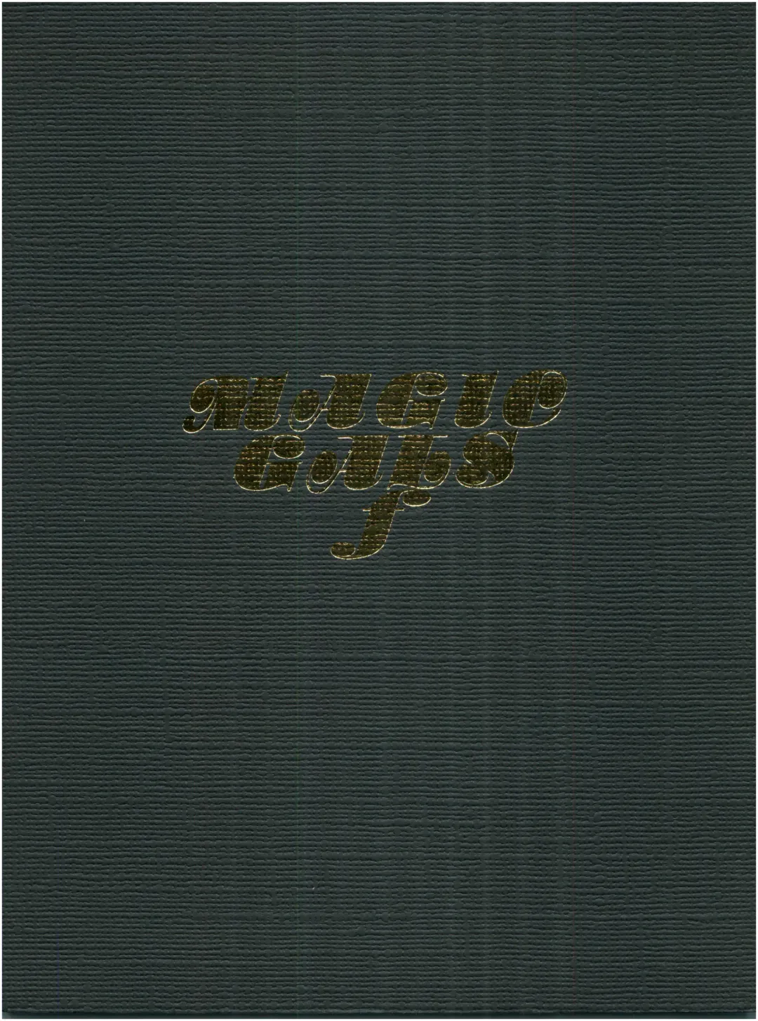 [Woody] MAGIC GALS F Fhentai - Page 1