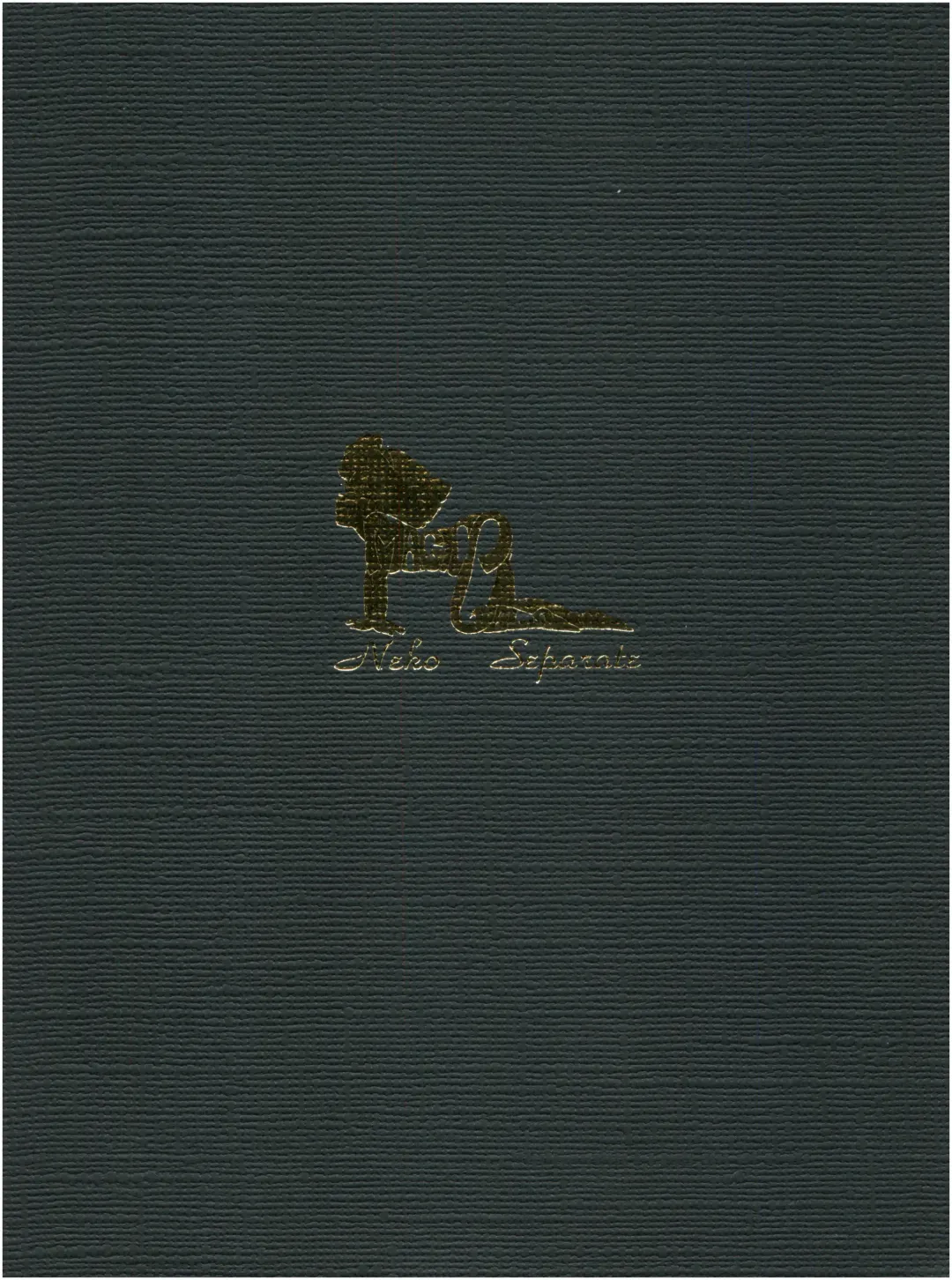 [Woody] MAGIC GALS F Fhentai - Page 102