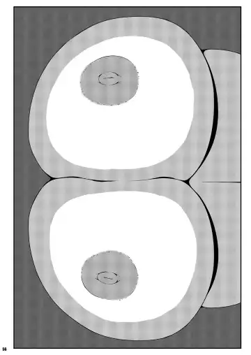 [Sugiura Sen] Ketsu Darake Touhou Soushuuhen Series 2 Fhentai - Page 56