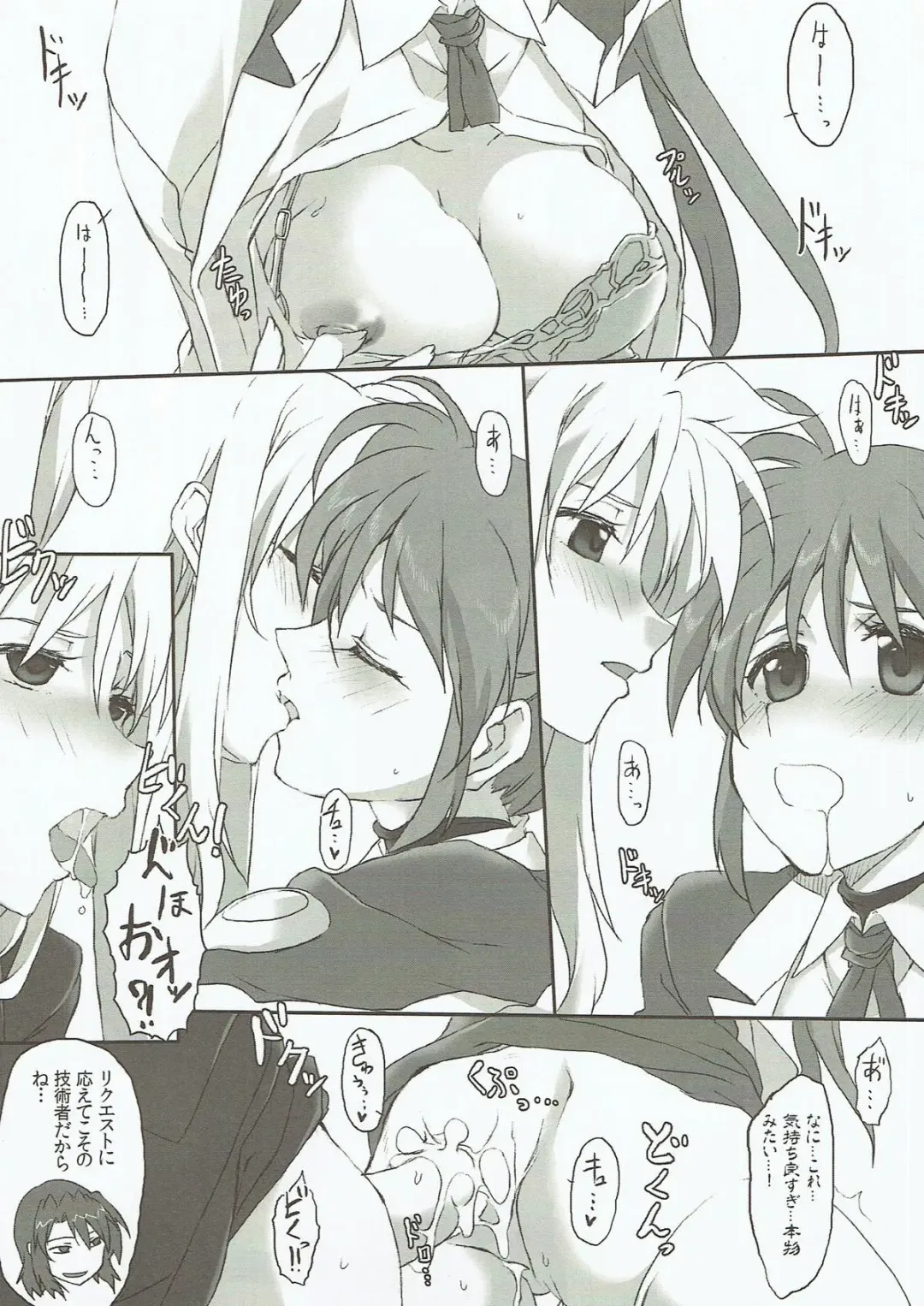 [Elf] Nanoha-san o Chikan shitakatta to Shitsumukan wa Kyoujutsu shiteori. Fhentai - Page 15