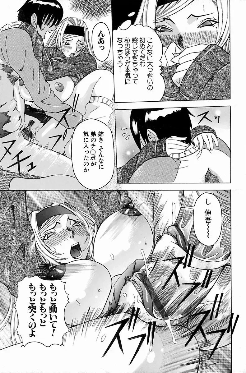 [Nico Pun Nise] Melt-down Fhentai - Page 17