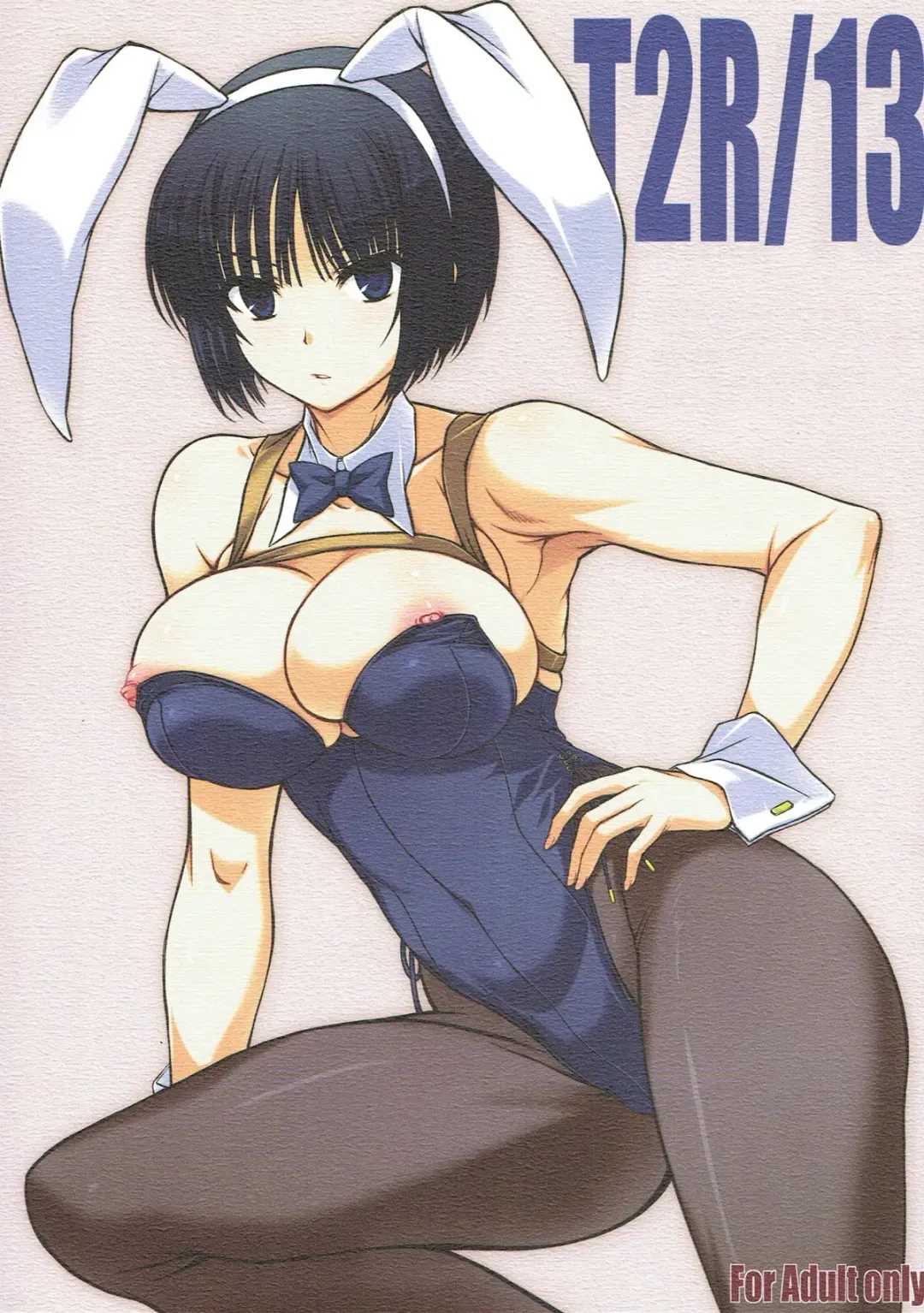 [Yatsushima Tetsuya] T2R/13 Fhentai - Page 1