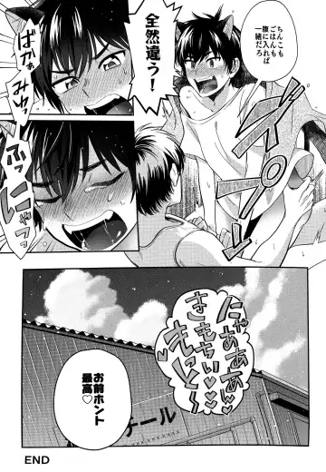 [Shisuka] Hey!! Nyan Fhentai - Page 20