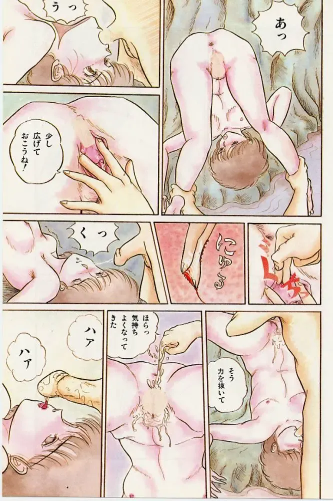 [Tokizumi Emishi] Kaze no Higashi no Tsuki no Mori Fhentai - Page 9