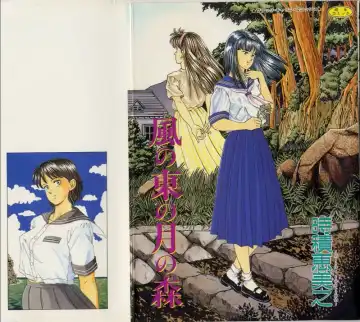 [Tokizumi Emishi] Kaze no Higashi no Tsuki no Mori - Fhentai