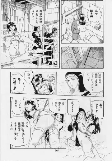 [Tokizumi Emishi] Kaze no Higashi no Tsuki no Mori Fhentai - Page 107