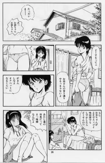 [Tokizumi Emishi] Kaze no Higashi no Tsuki no Mori Fhentai - Page 28