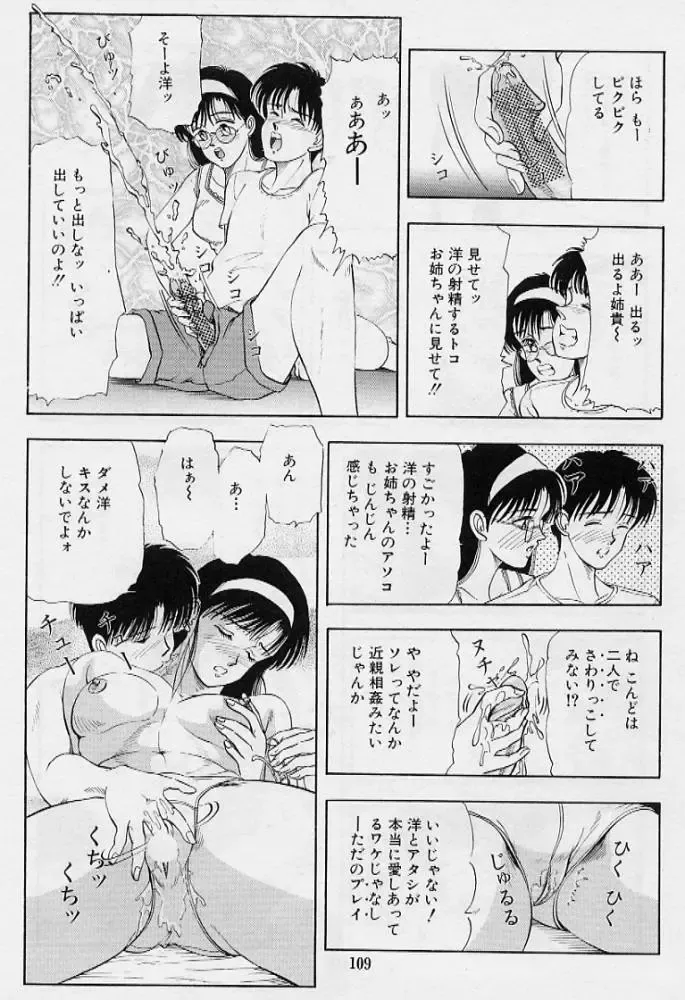 [Tokizumi Emishi] Kaze no Higashi no Tsuki no Mori 3 Fhentai - Page 111