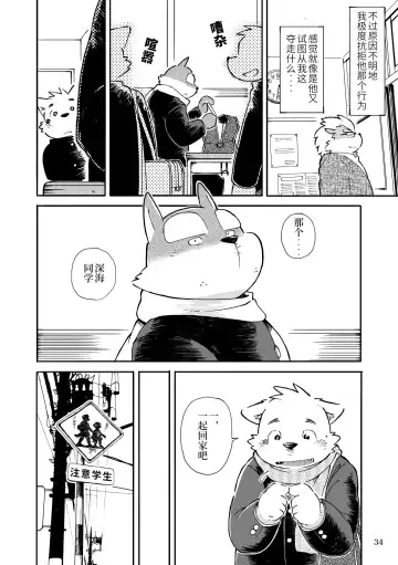 [Kinoshita Jiroh - Tayu] Mekko Rarekko Chuu | 欺人者被欺者·中 Fhentai - Page 33