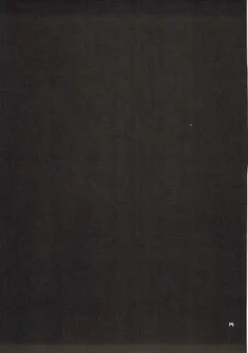 [Gyonikun] Eroin janaika? Fhentai - Page 14