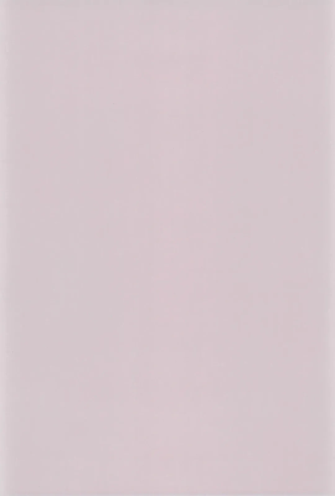 [China] Majokko Daikessen Fhentai - Page 3