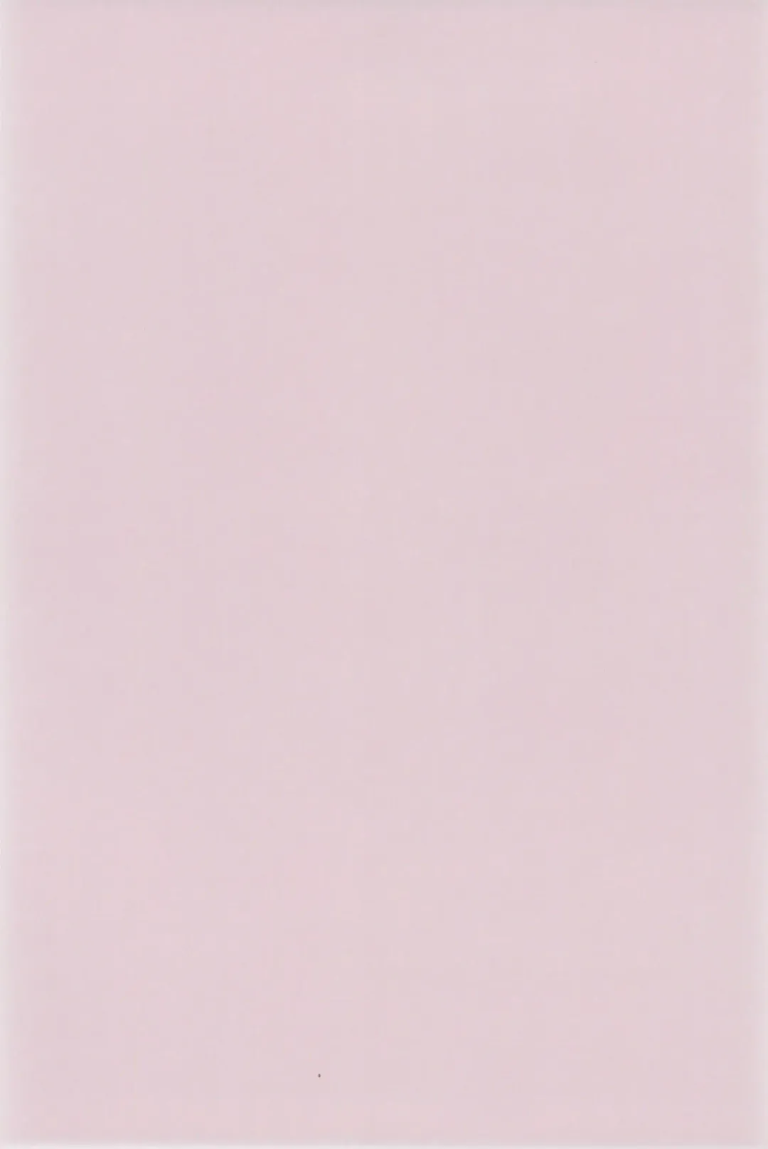 [China] Majokko Daikessen Fhentai - Page 46