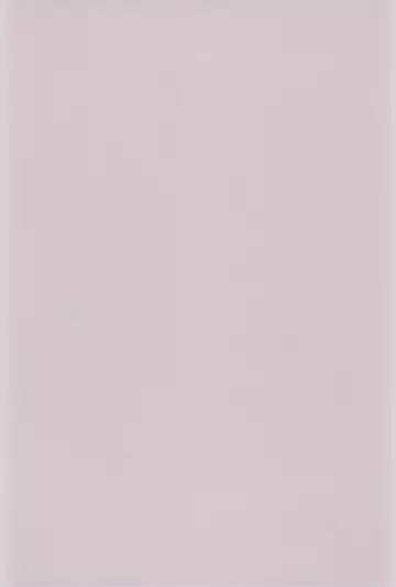 [China] Majokko Daikessen Fhentai - Page 3