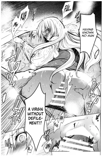 [Heizo - Kitoen] Saint Foire Festival 11 Aline Fhentai - Page 13