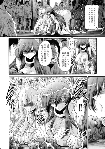 [Horikawa Gorou] Ochibure Hime Gekan Fhentai - Page 46