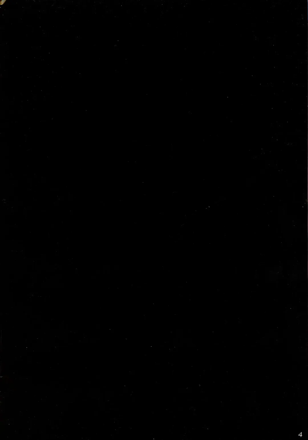 [Orico] ReplicA Fhentai - Page 4