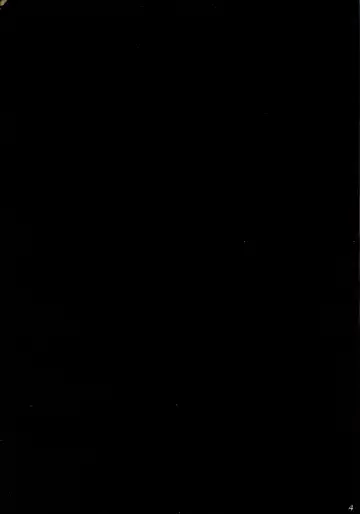 [Orico] ReplicA Fhentai - Page 4