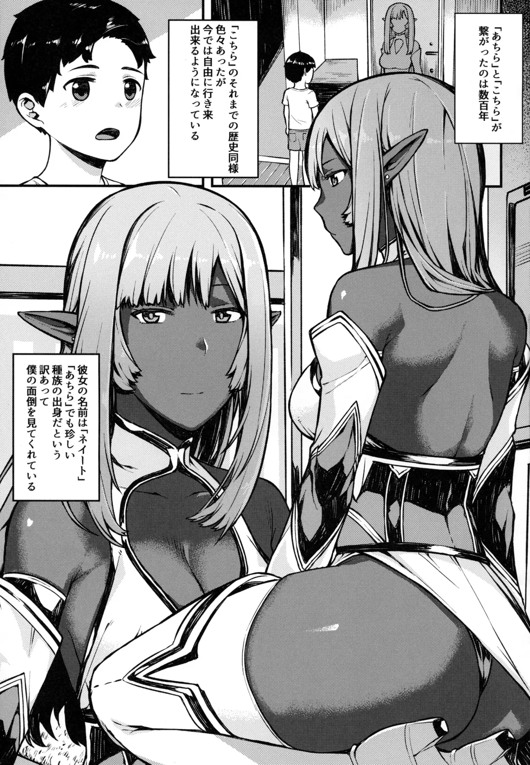 [Highlow] Isekai Series - Dark Elf no Neito Fhentai - Page 2