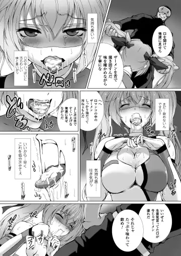 [Takahama Tarou - Terasu Mc] Hengen Souki Shine Mirage THE COMIC with graphics from novel Fhentai - Page 23