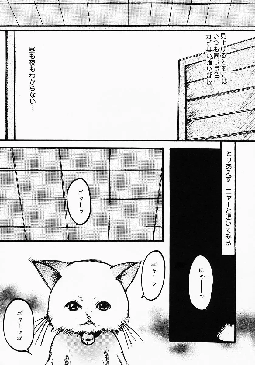 [Nyanko Mic] Lollipop Candy Fhentai - Page 145