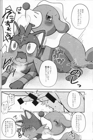 [Shiro] Popplio Litten Panic!! Fhentai - Page 11