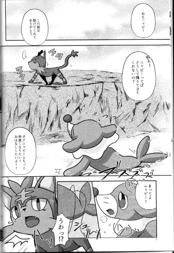 [Shiro] Popplio Litten Panic!! Fhentai - Page 5