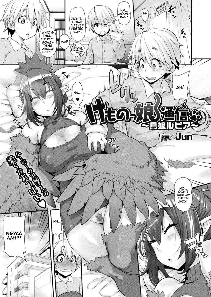 [Jun] Kemonokko Tsuushin ~Toriko Rupia~ | Animal Girl Hotline ~ Bird Girl Rupia (decensored) Fhentai - Page 1
