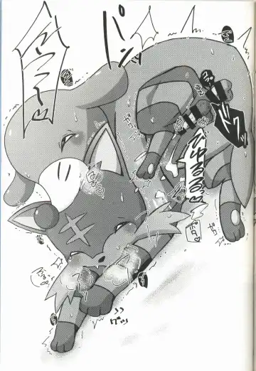 [Shiro] Ashi Nyabi Panic!! | 球球海狮与火斑喵的危机 Fhentai - Page 14